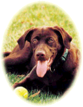 Bill Clinton's Beloved Buddy