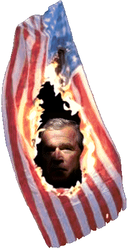 Bush - the REAL 'Flag Burner'