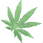 Marijuanna Leaf